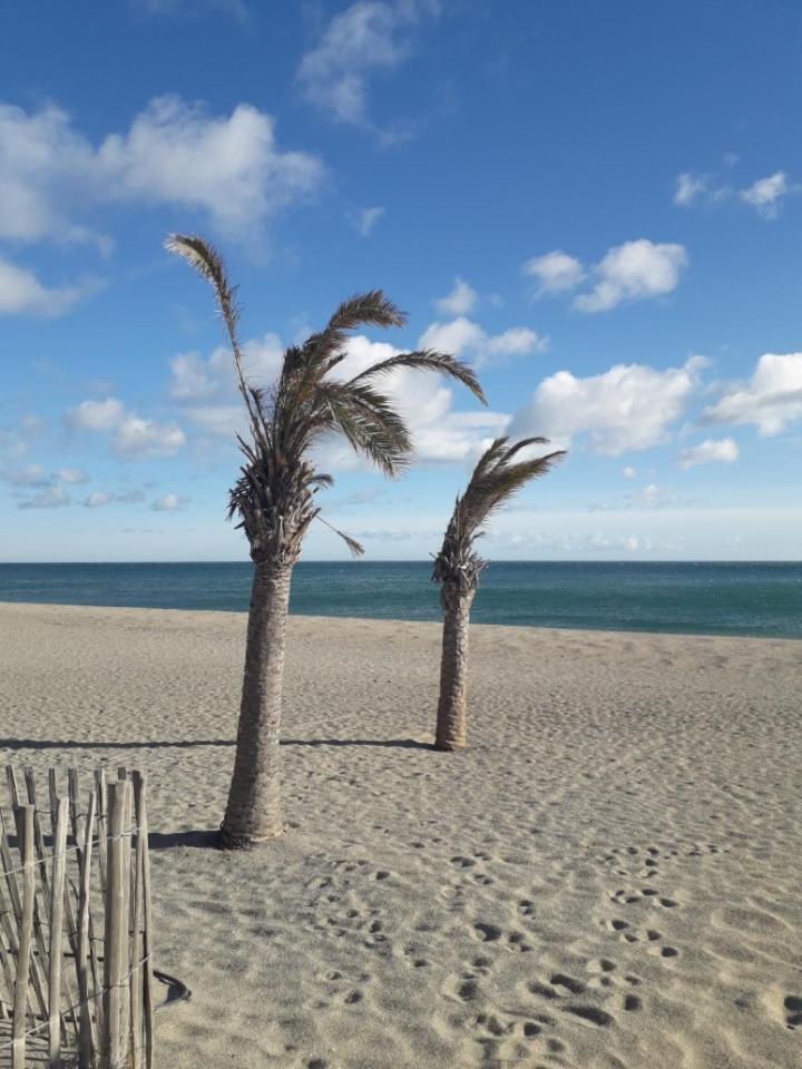 Coquet Studio 4 Pers, Piscine,Clim Mobile, Plage A 300 M,A 5Min A Pied Du Lydia 乐巴凯尔斯 外观 照片